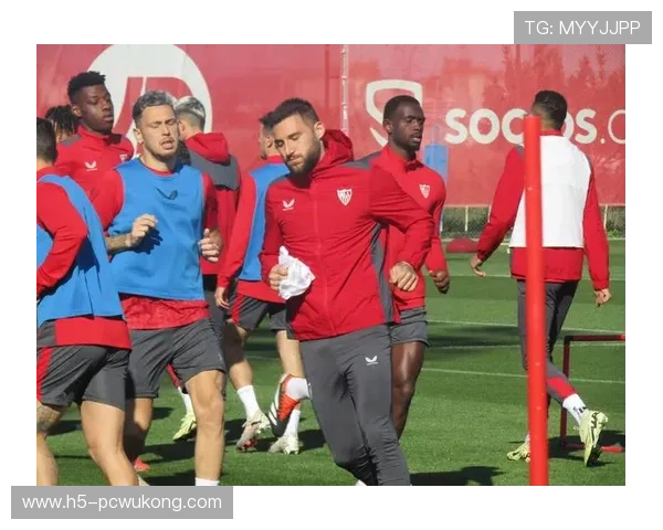 博尼法斯世界杯前景：状态回暖能否撑起尼日利亚锋线