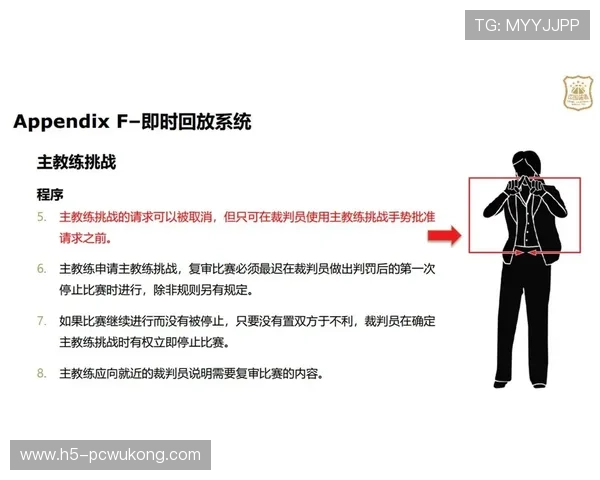 技术犯规：篮球规则中判罚依据与后果解析